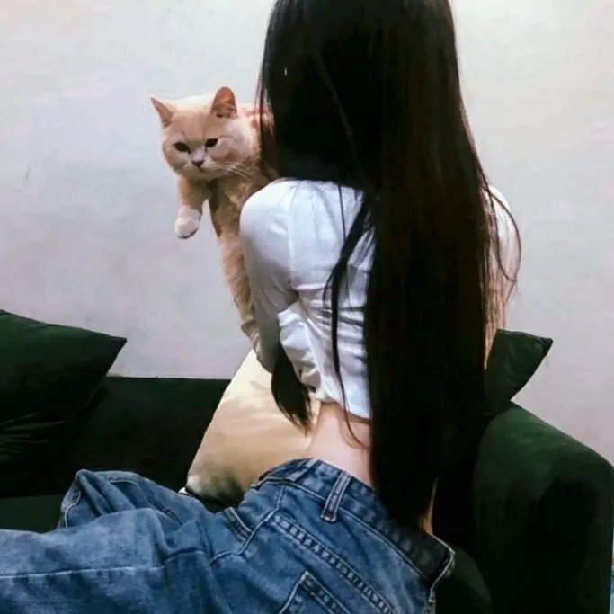 蜡笔小新第二季